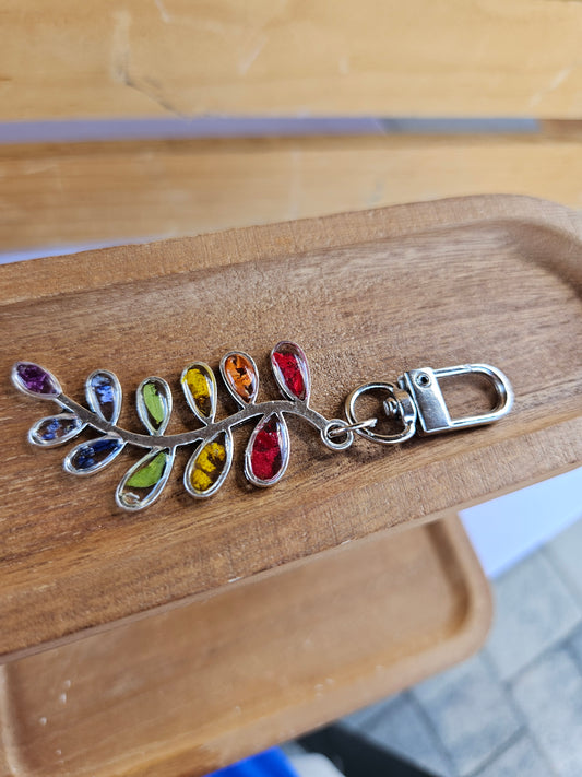 Rainbow Key Chain