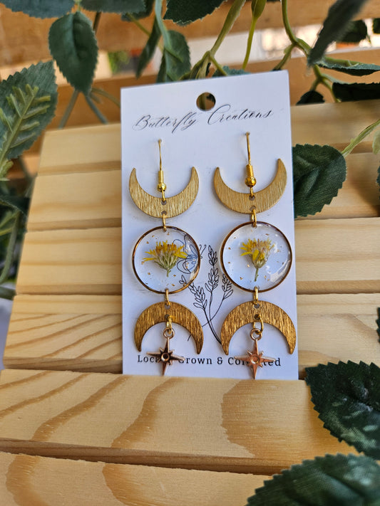 New Moon (Desert Daisy)