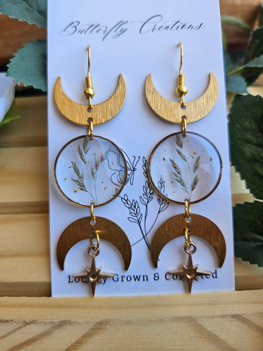 New Moon (Mexican Lovegrass)