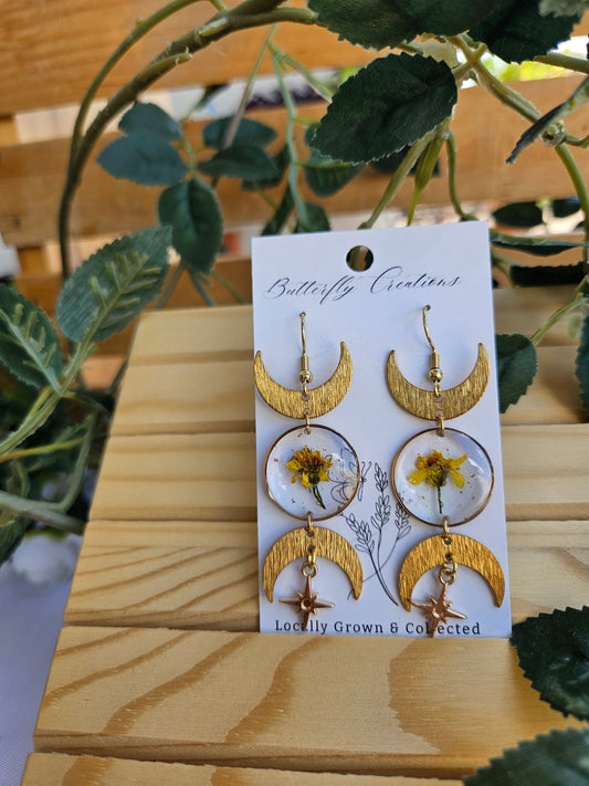 New Moon (Brittlebush)