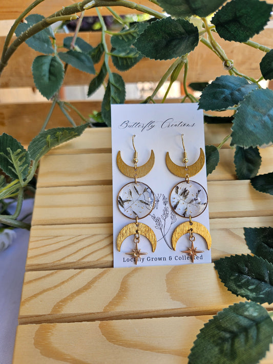 New Moons (Mexican Lovegrass)